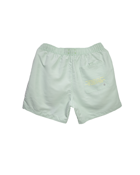 RARE Shorts Mint